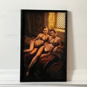 Princess Lea Padme Amidala Star Wars Poster